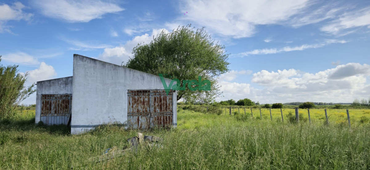 Chacra ID.23036 - Venta chacra 13 hectareas entre Estación Pedrera y Estación Tapia