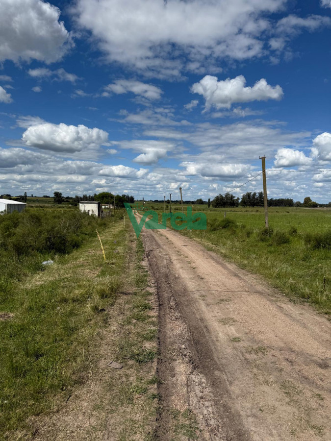 Chacra ID.22820 - Venta Chacra 10 has Sauce 2 Casas Queseria 2 Galpones