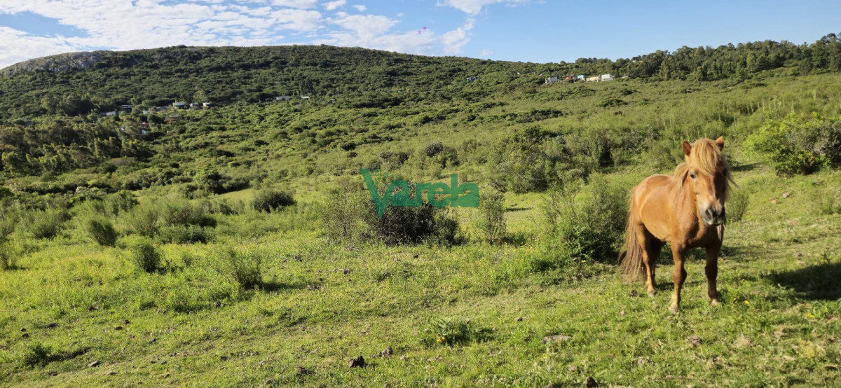 Chacra ID.22872 - Chacra Marítima de 5 has.en Playa Hermosa, a 9 cuadras de la playa