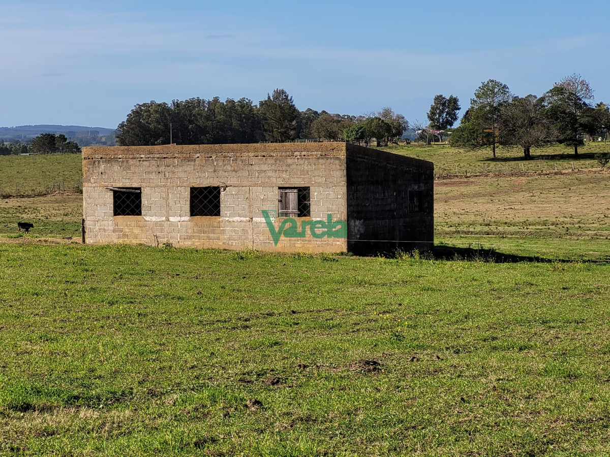 Chacra ID.22478 - Venta de chacra en Atlantida