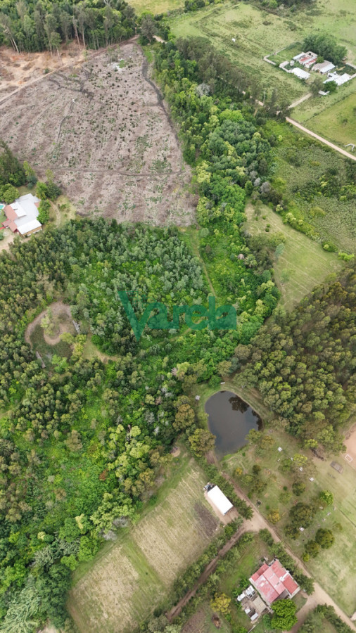 Chacra ID.22857 - Venta chacra baldia 3 hectares Ruta 6 Toledo 100% financiada