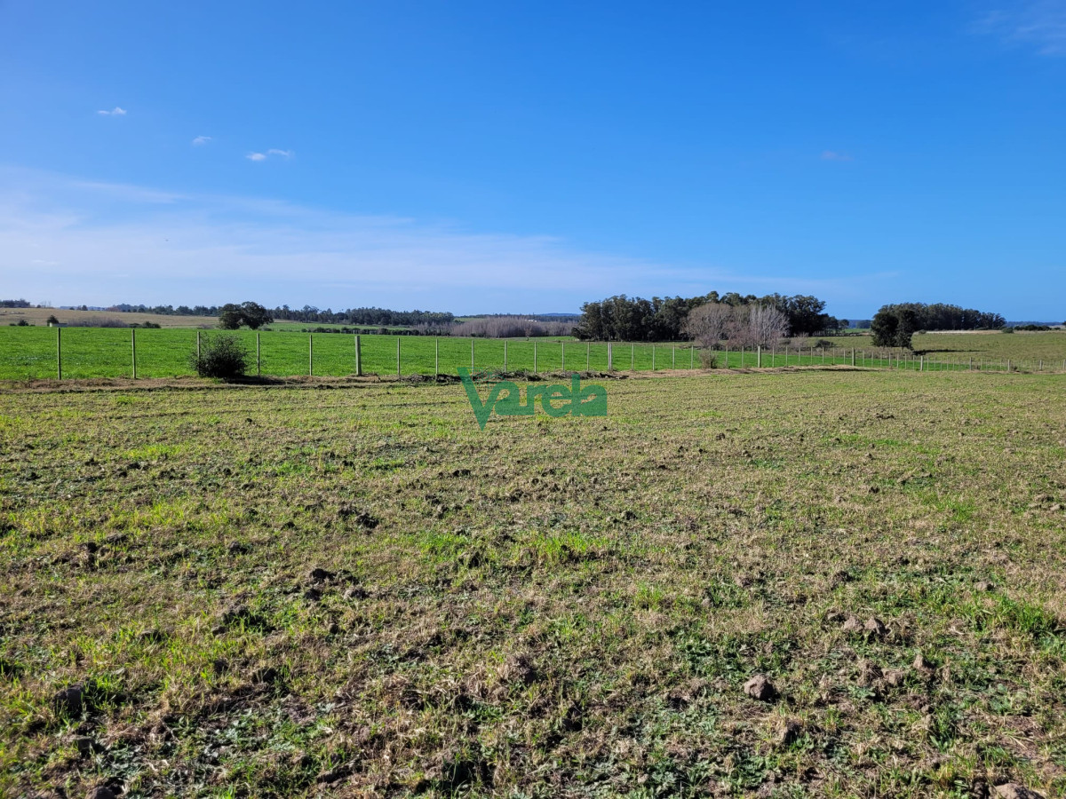 Chacra ID.22478 - Venta de chacra en Atlantida
