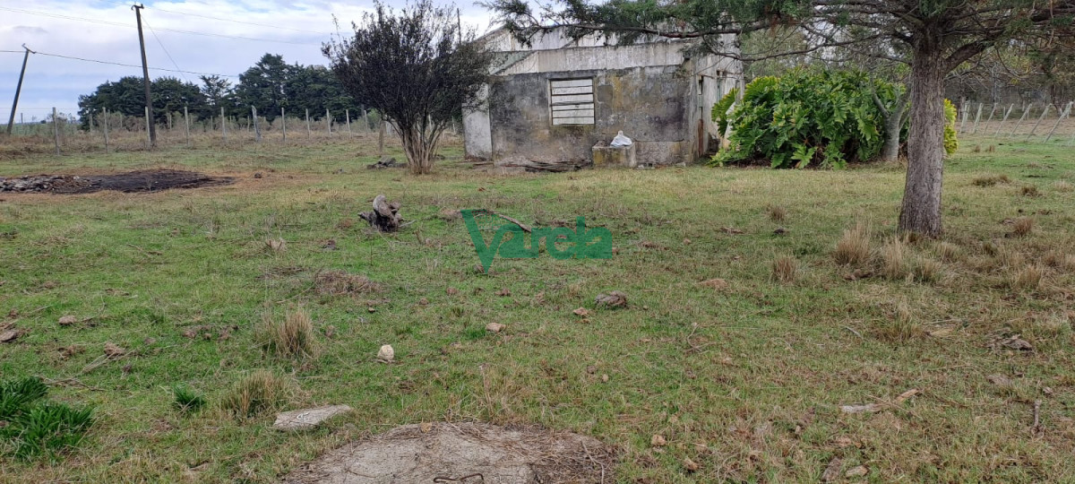 Chacra ID.21842 - Venta de Chacra, Ruta 11, km.152, de 3,5 has. a 200 metros de Ruta 