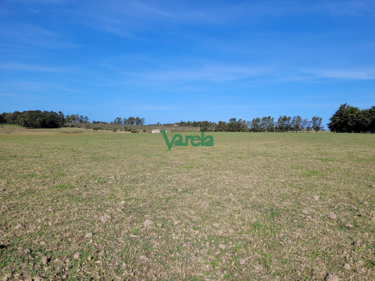 Chacra ID.22478 - Venta de chacra en Atlantida