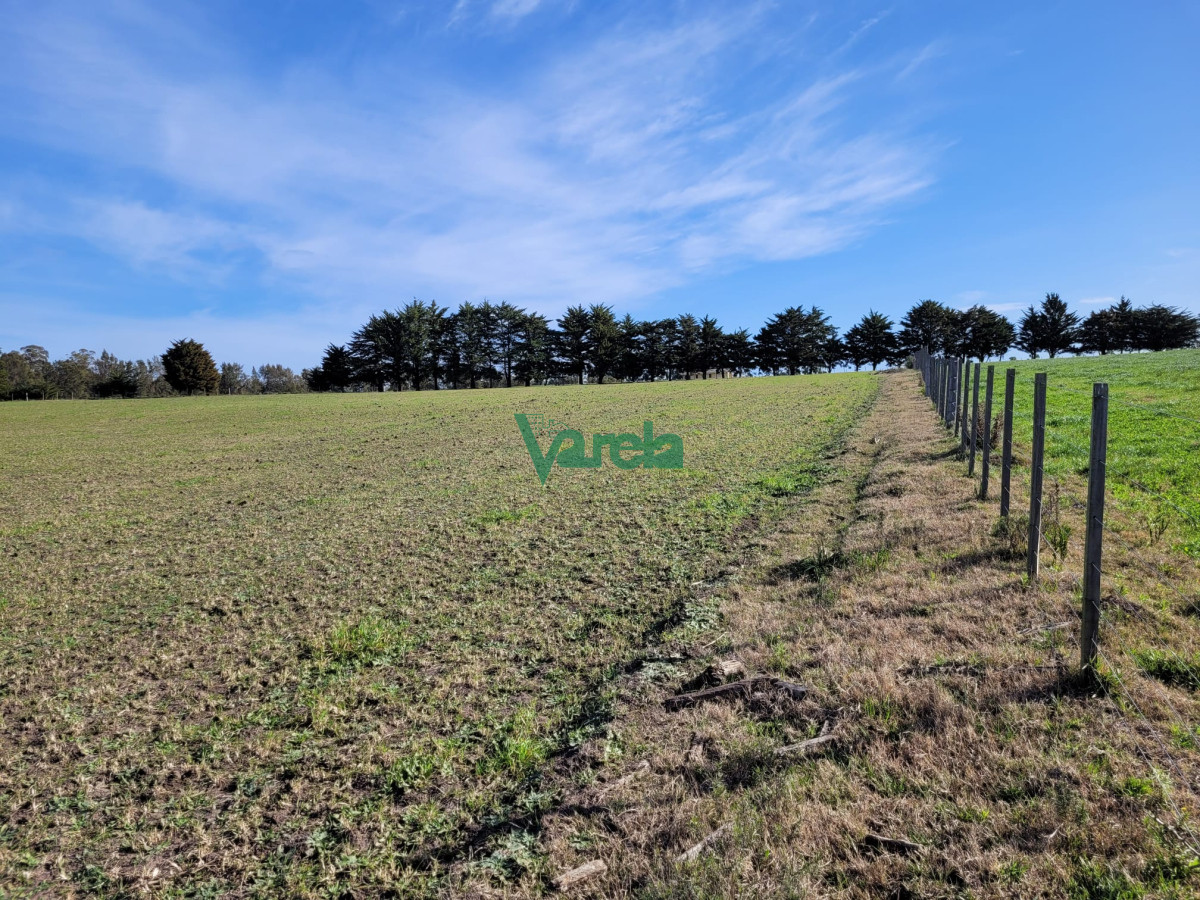 Chacra ID.22478 - Venta de chacra en Atlantida