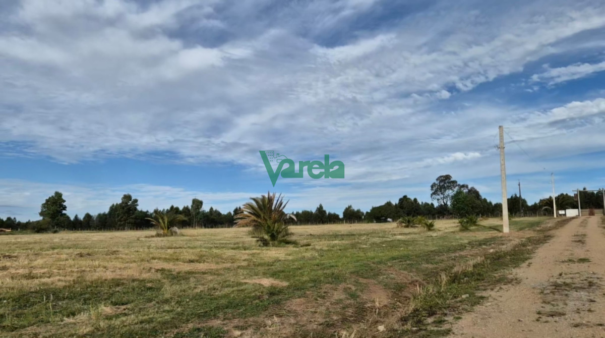 Chacra ID.22462 - Chacras de la Bodega, sobre la Ruta 80 km.73