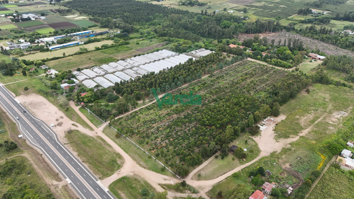 Chacra ID.22861 - Venta Chacras 100% financiadas en Toledo