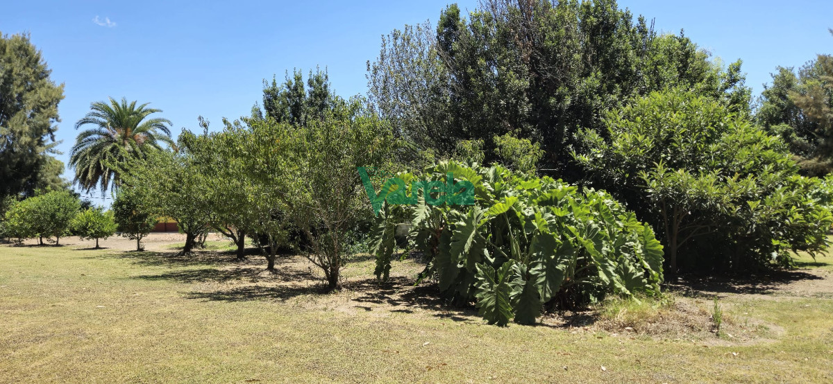 Chacra ID.22516 - Casa con gran terreno de 9026 m2 sobre Ruta 11 