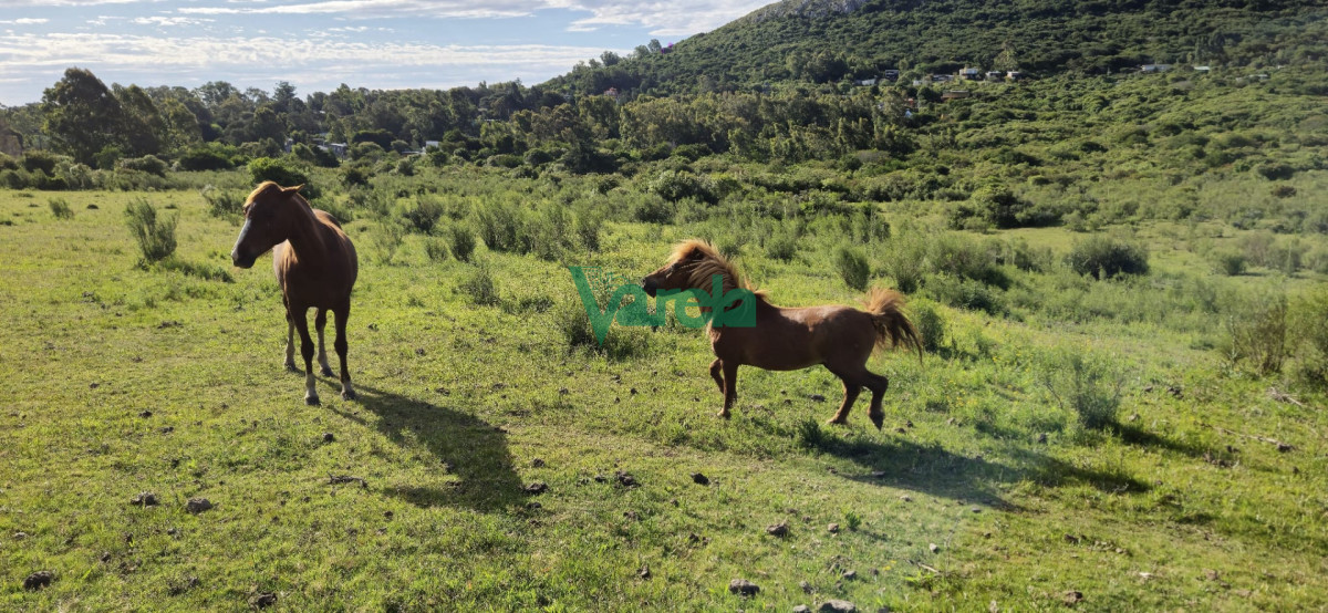 Chacra ID.22872 - Chacra Marítima de 5 has.en Playa Hermosa, a 9 cuadras de la playa