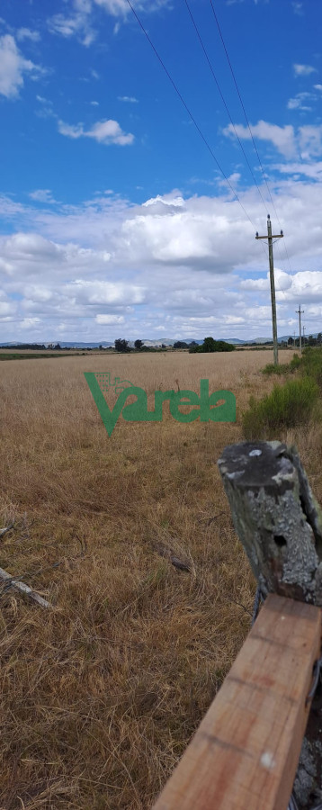 Chacra ID.21637 - Venta Chacras, Ruta 9, Maldonado, km.82, de 5 has.próximas a los Dos Puentes