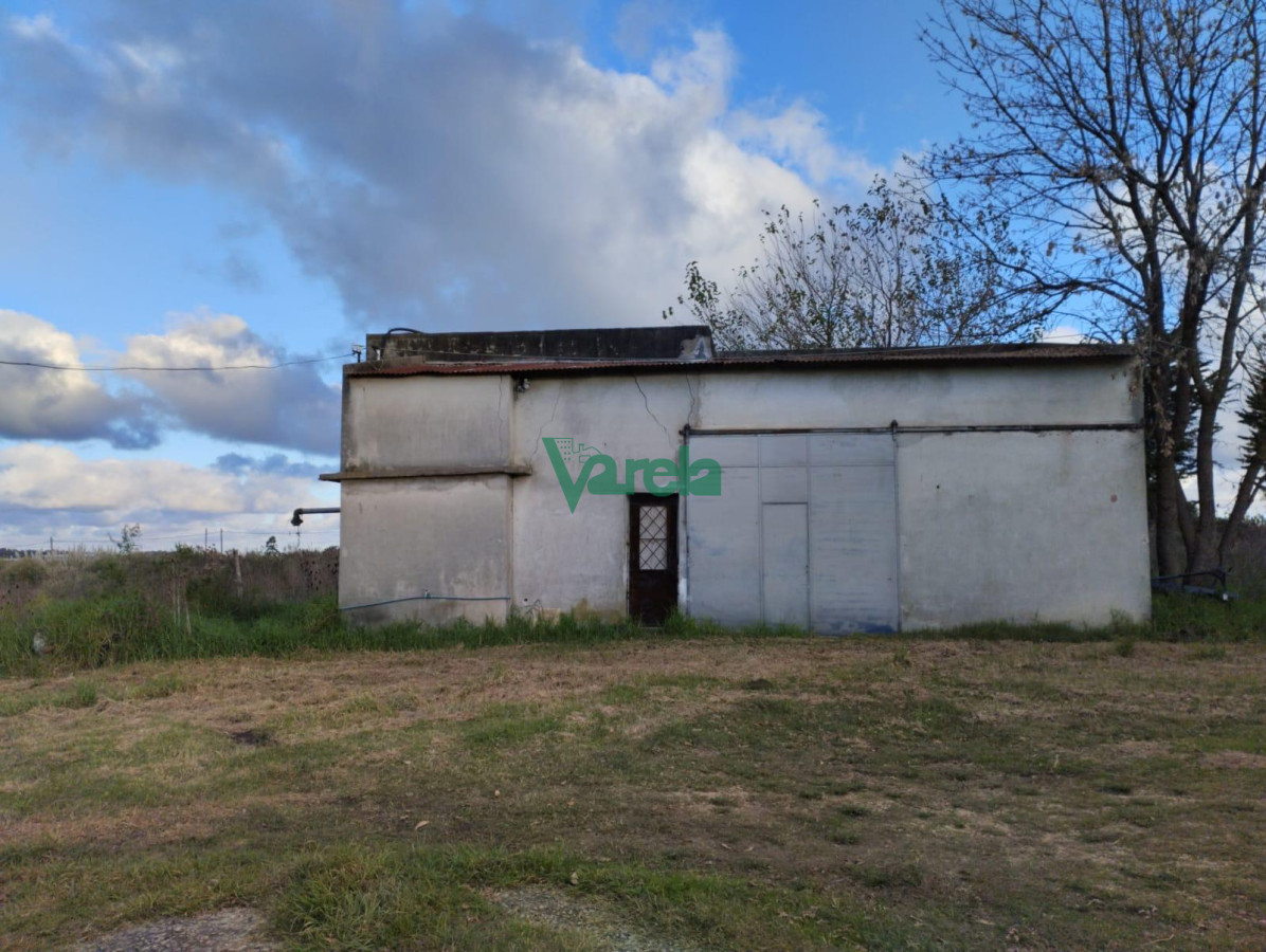 Chacra ID.22265 - venta chacra con galpon baño y ambiente toledo