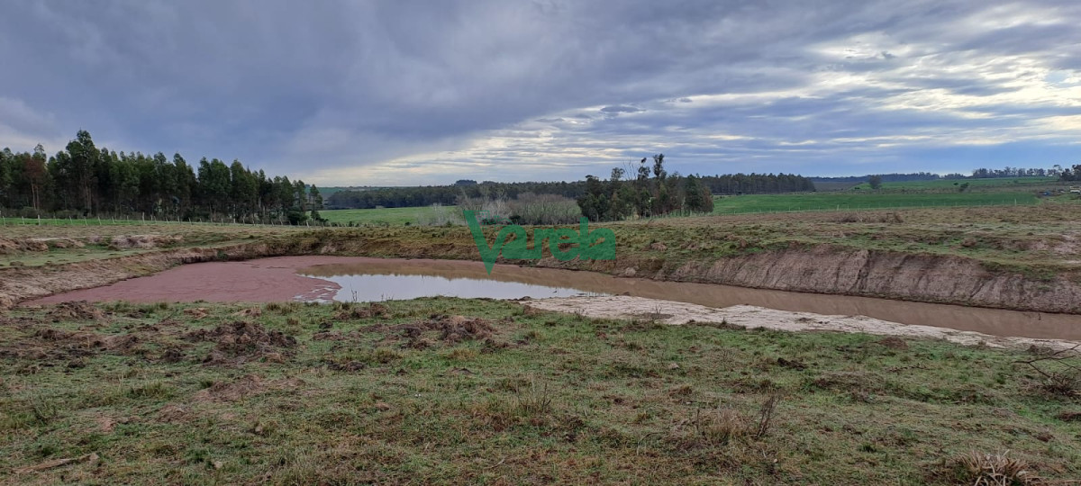 Chacra ID.21842 - Venta de Chacra, Ruta 11, km.152, de 3,5 has. a 200 metros de Ruta 