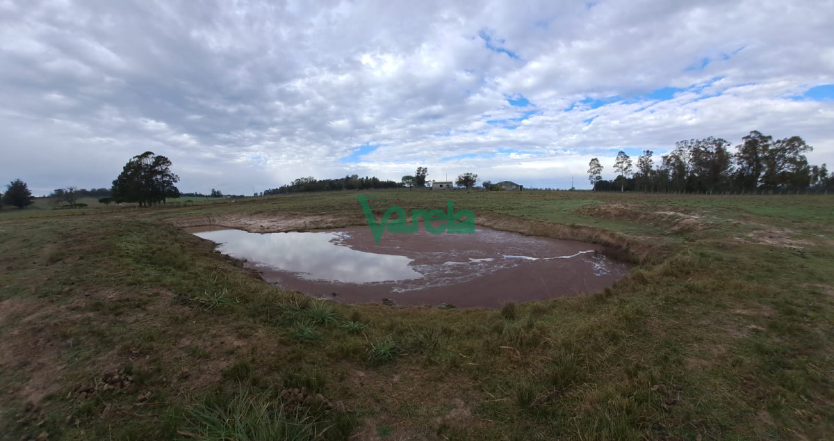 Chacra ID.21842 - Venta de Chacra, Ruta 11, km.152, de 3,5 has. a 200 metros de Ruta 