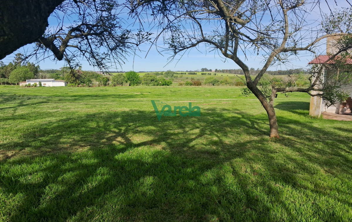 Chacra ID.22798 - Venta de Chacra 3 Hás en Suarez