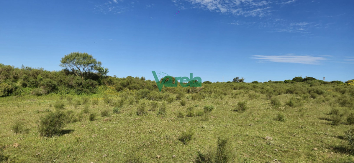 Chacra ID.22872 - Chacra Marítima de 5 has.en Playa Hermosa, a 9 cuadras de la playa