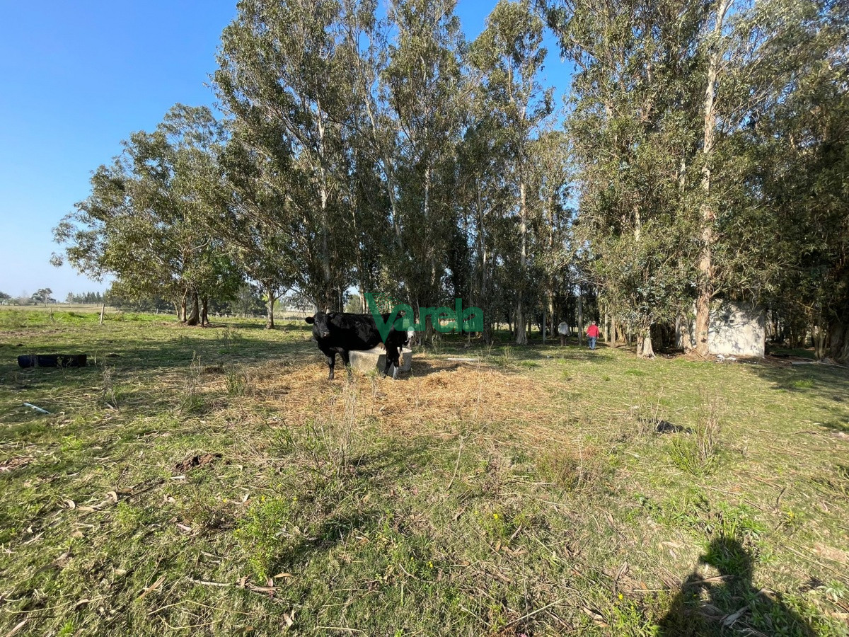 Chacra ID.21461 - Venta Chacra, próxima a Ruta 11,  de 3 has. 4450 ideal Vivienda permanente 