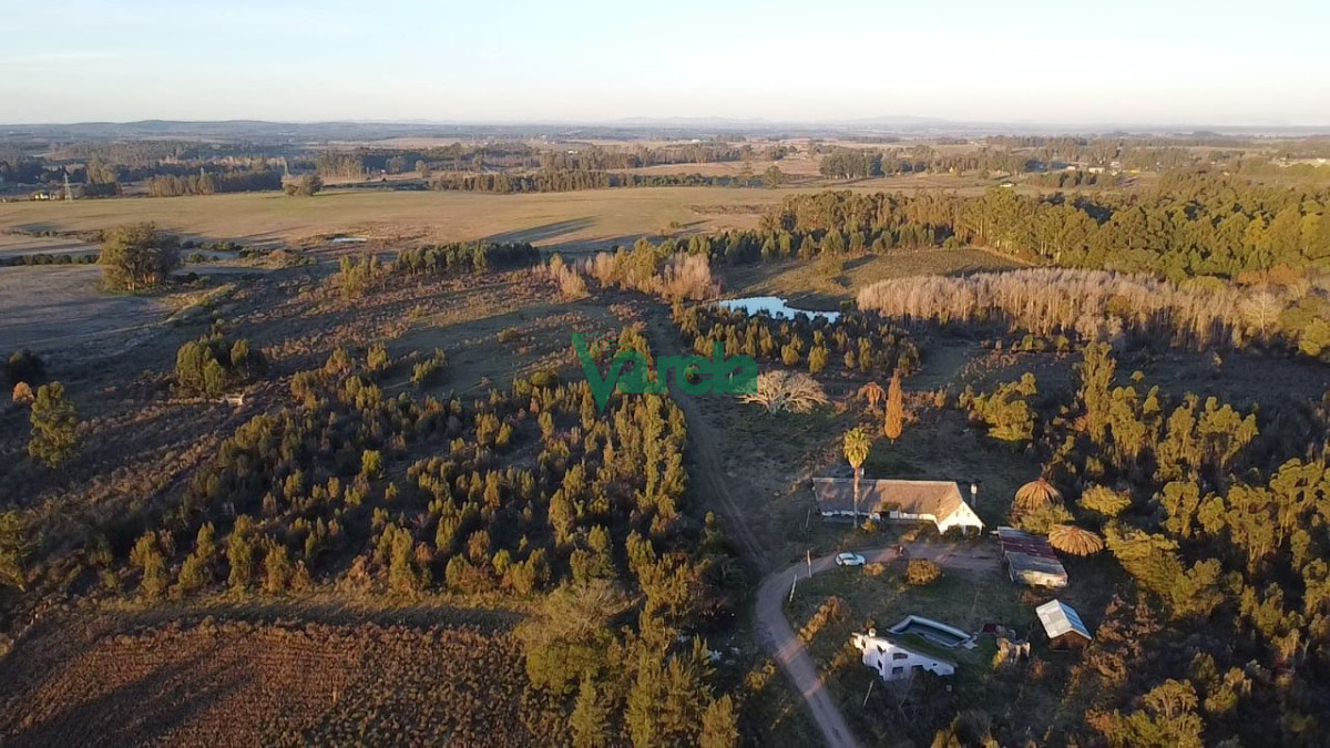 Chacra ID.22673 - Venta Chacra 10 has km 45 ruta 8 Empalme Olmos Canelones