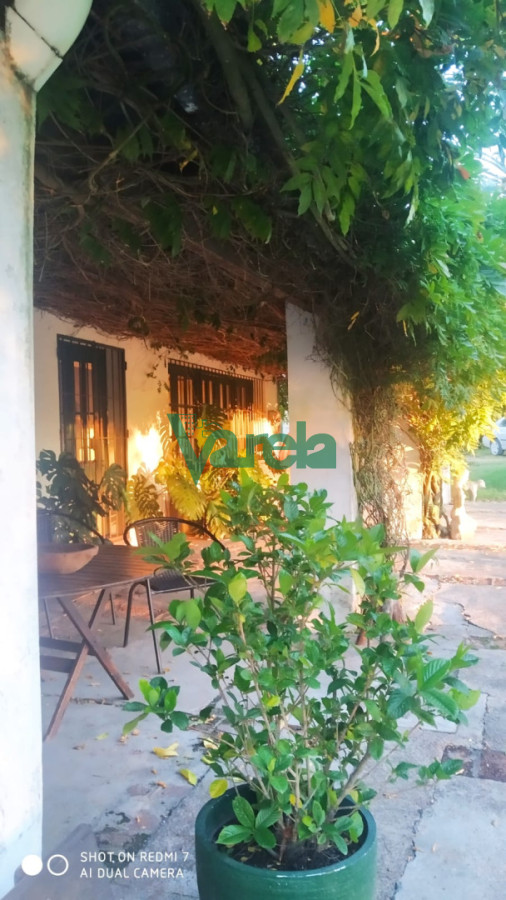 Chacra ID.22798 - Venta de Chacra 3 Hás en Suarez