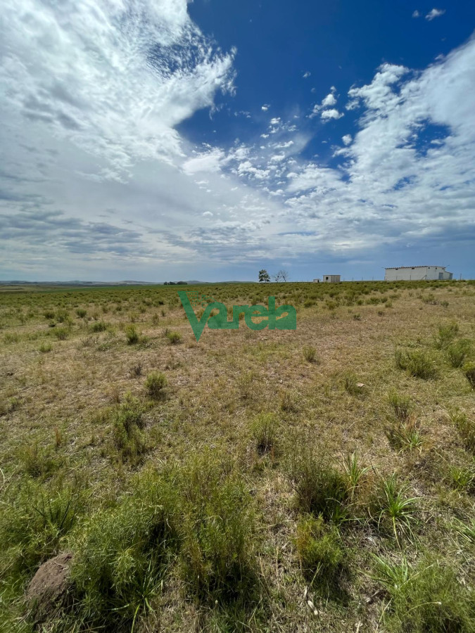 Chacra ID.22113 - VENTA DE CHACRA EN MALDONADO
