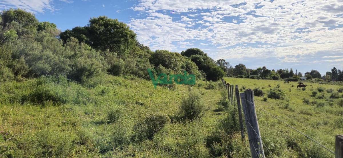 Chacra ID.22872 - Chacra Marítima de 5 has.en Playa Hermosa, a 9 cuadras de la playa