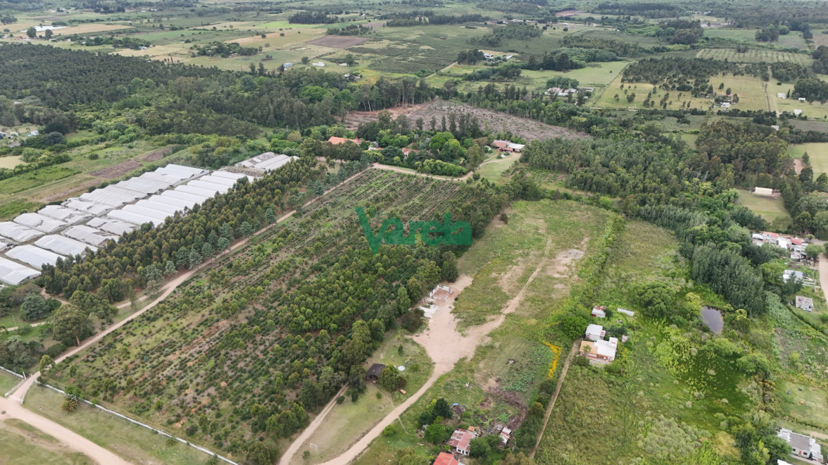 Chacra ID.22867 - Venta chacra 100% financiada en Toledo 4 hectáreas