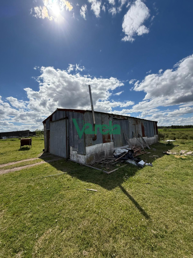 Chacra ID.22820 - Venta Chacra 10 has Sauce 2 Casas Queseria 2 Galpones