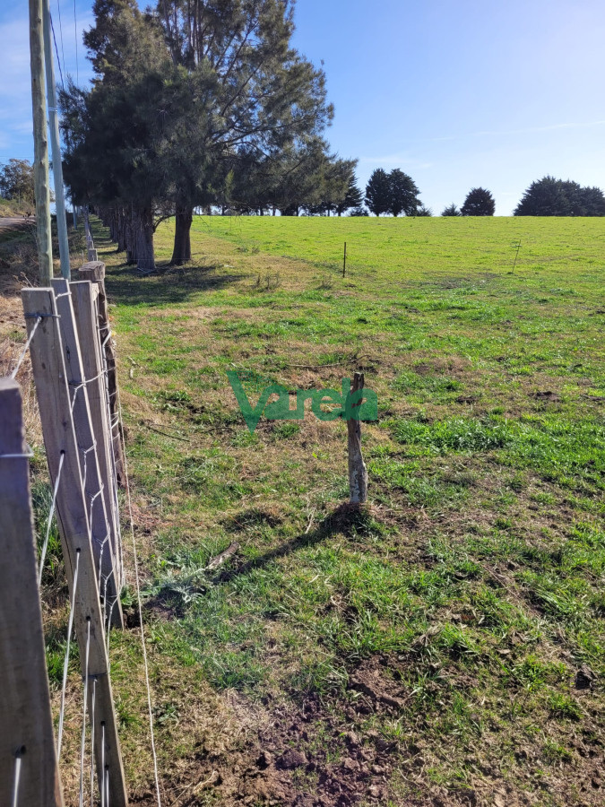 Chacra ID.22478 - Venta de chacra en Atlantida