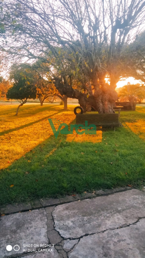 Chacra ID.22798 - Venta de Chacra 3 Hás en Suarez