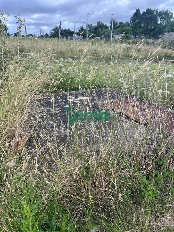 Chacra ID.22474 - Venta Chacra 5000m2 con construccion Joaquin Suarez 