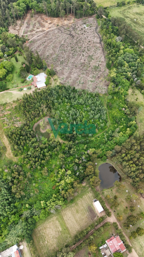 Chacra ID.22857 - Venta chacra baldia 3 hectares Ruta 6 Toledo 100% financiada