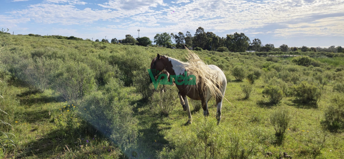 Chacra ID.22872 - Chacra Marítima de 5 has.en Playa Hermosa, a 9 cuadras de la playa