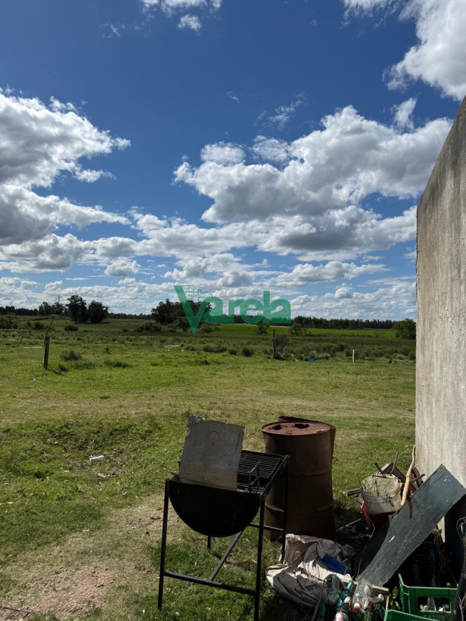 Chacra ID.22820 - Venta Chacra 10 has Sauce 2 Casas Queseria 2 Galpones