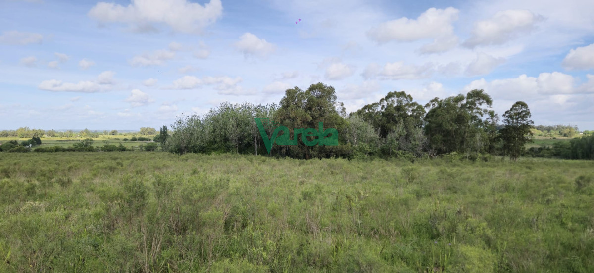 Chacra ID.23036 - Venta chacra 13 hectareas entre Estación Pedrera y Estación Tapia