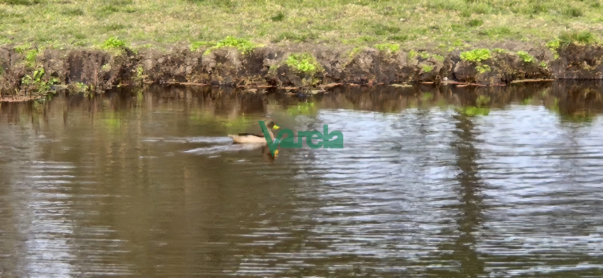 Chacra ID.22729 - Chacra 7,5 has.próxima a Estación Migues
