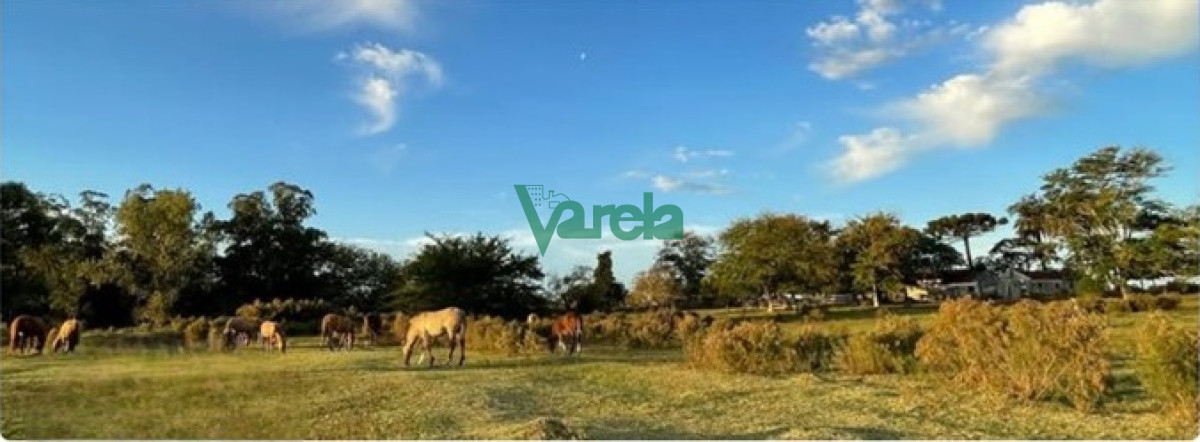Chacra ID.22729 - Chacra 7,5 has.próxima a Estación Migues