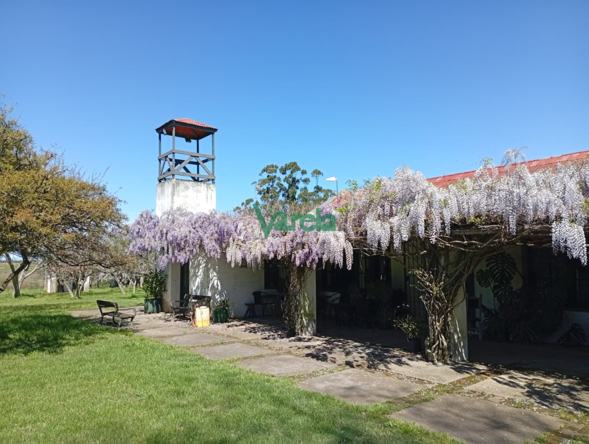 Chacra ID.22798 - Venta de Chacra 3 Hás en Suarez