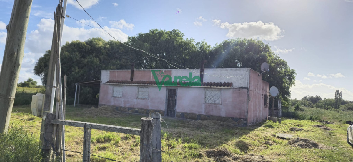 Chacra ID.23036 - Venta chacra 13 hectareas entre Estación Pedrera y Estación Tapia