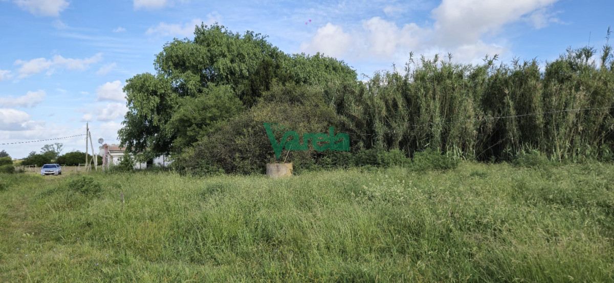 Chacra ID.23036 - Venta chacra 13 hectareas entre Estación Pedrera y Estación Tapia
