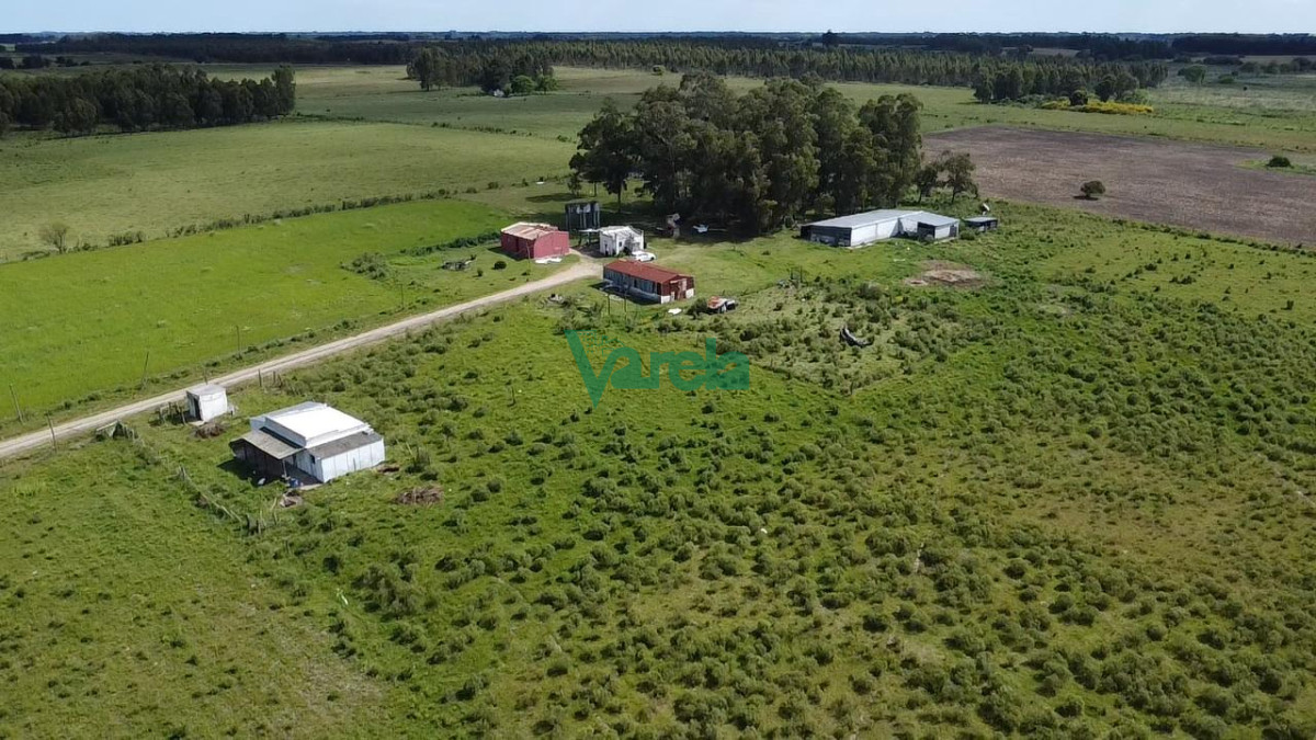 Chacra ID.22820 - Venta Chacra 10 has Sauce 2 Casas Queseria 2 Galpones