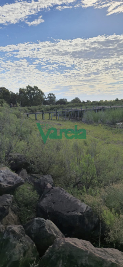 Chacra ID.22872 - Chacra Marítima de 5 has.en Playa Hermosa, a 9 cuadras de la playa