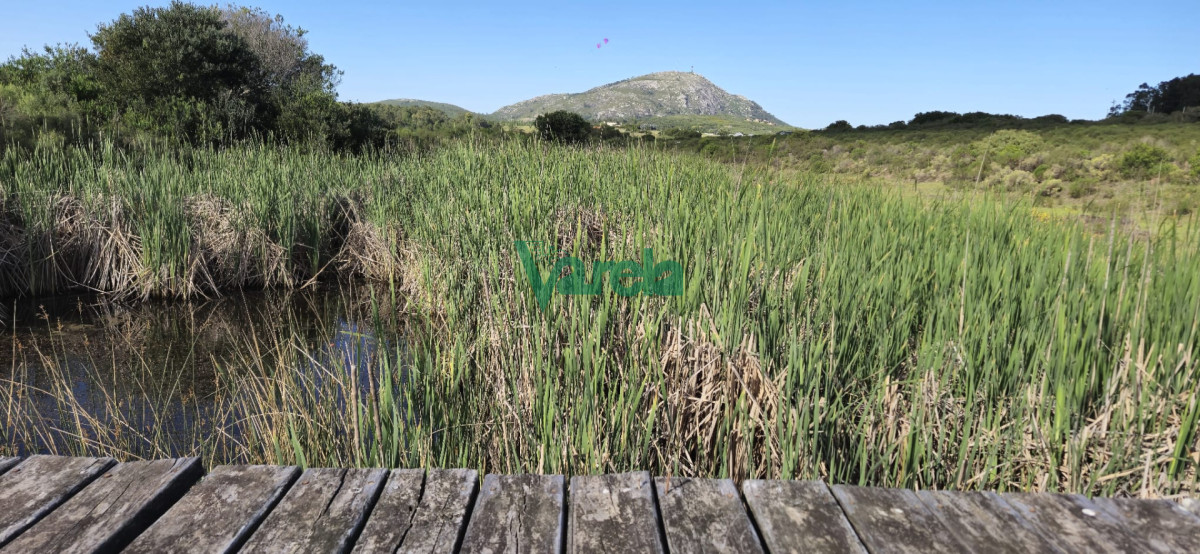 Chacra ID.22872 - Chacra Marítima de 5 has.en Playa Hermosa, a 9 cuadras de la playa