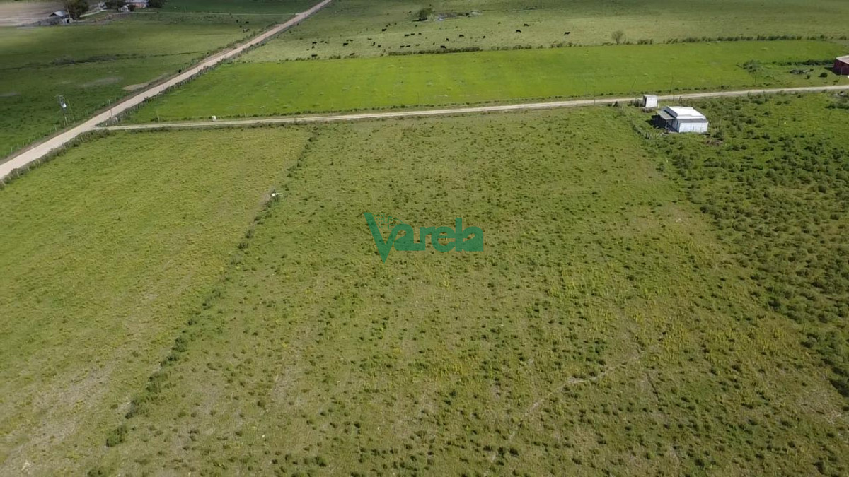 Chacra ID.22820 - Venta Chacra 10 has Sauce 2 Casas Queseria 2 Galpones