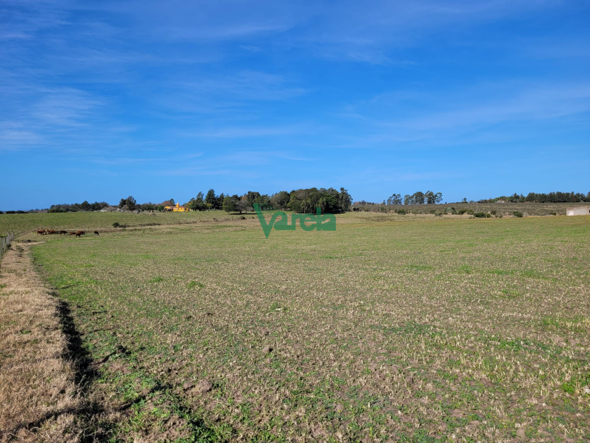Chacra ID.22478 - Venta de chacra en Atlantida