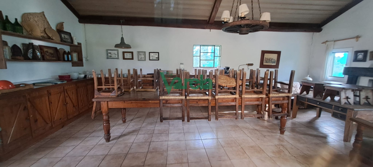 Chacra ID.22036 - Chacra 12 has. próxima a Gregorio Aznárez en Maldonado