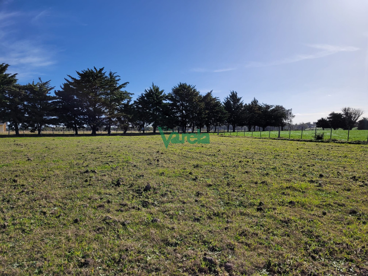 Chacra ID.22478 - Venta de chacra en Atlantida