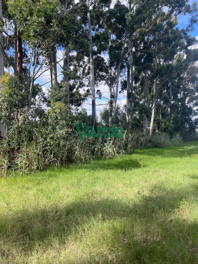 Chacra ID.22265 - venta chacra con galpon baño y ambiente toledo