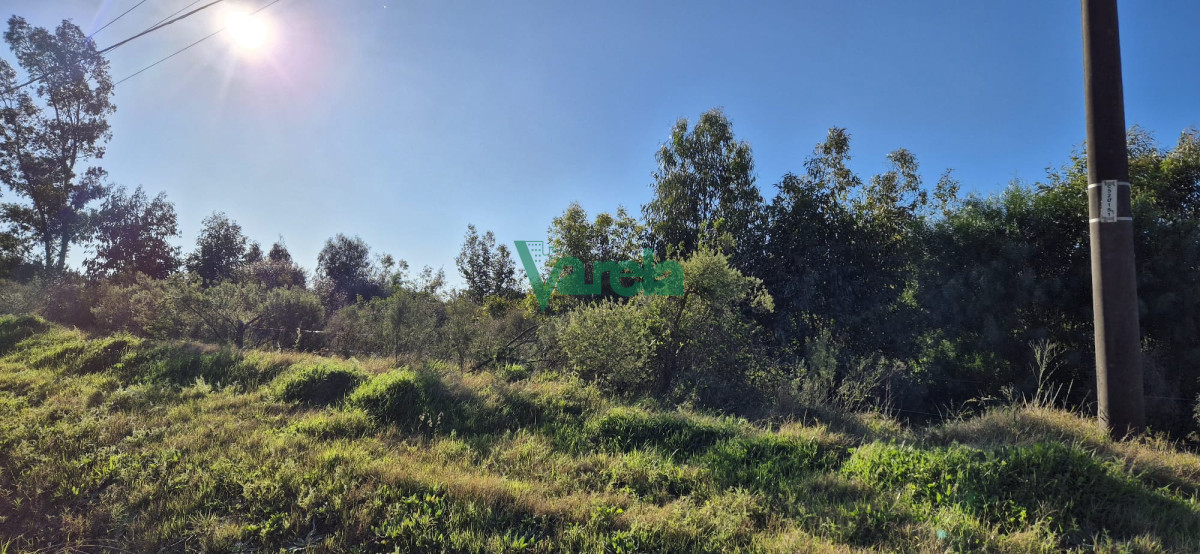 Chacra ID.22328 - Chacra 3 has.Fortín Santa Rosa