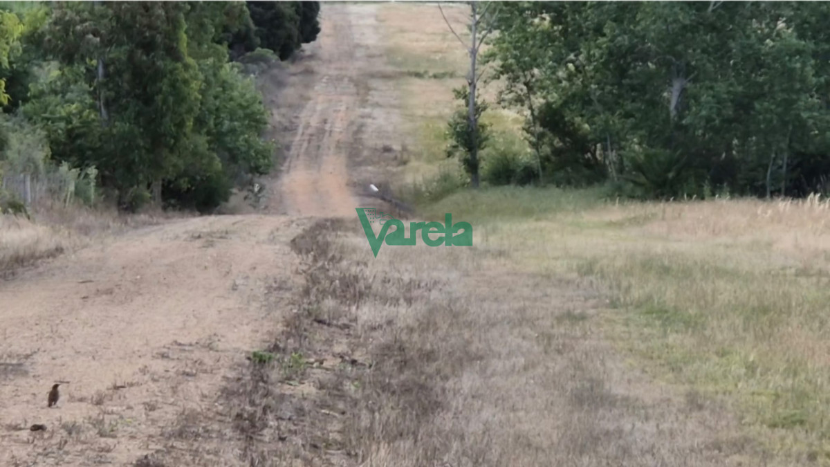 Chacra ID.22462 - Chacras de la Bodega, sobre la Ruta 80 km.73