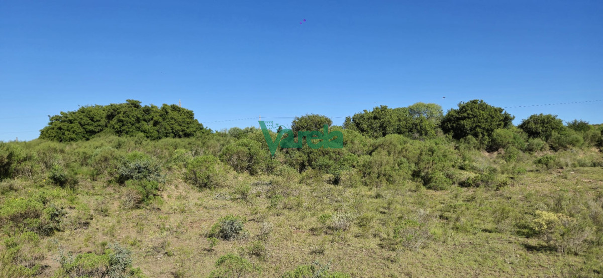 Chacra ID.22872 - Chacra Marítima de 5 has.en Playa Hermosa, a 9 cuadras de la playa