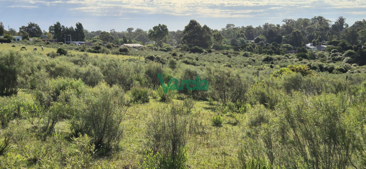 Chacra ID.22872 - Chacra Marítima de 5 has.en Playa Hermosa, a 9 cuadras de la playa